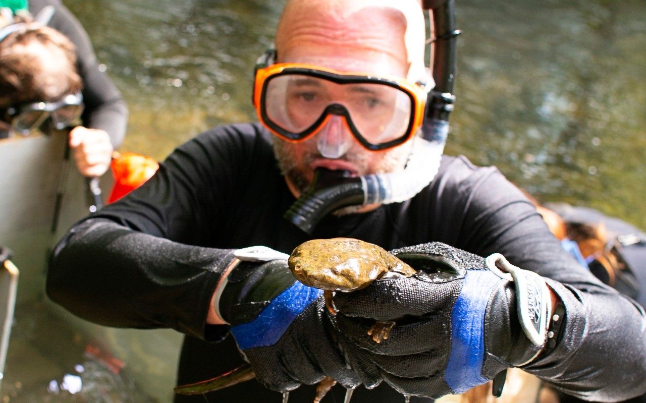 FWC Home Fish And Wildlife Conservation Virginia Tech